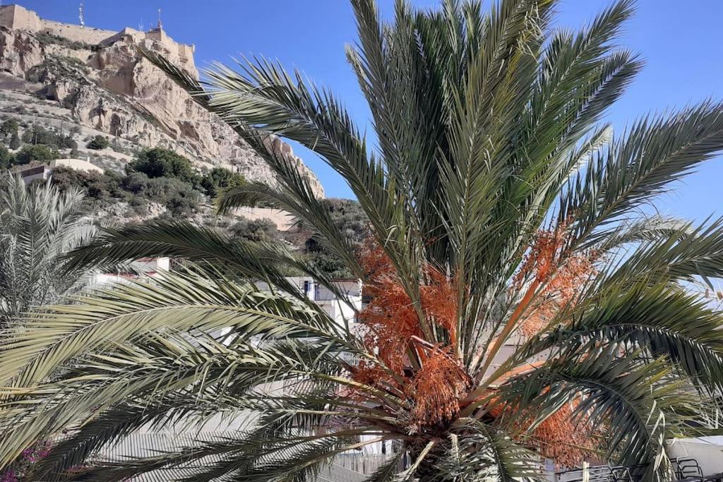 La Casita Azul Lejlighed Alicante Eksteriør billede