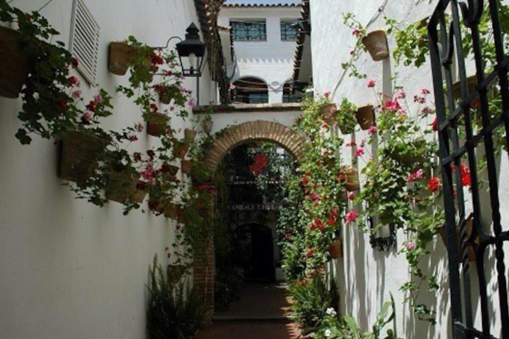La Casita Azul Lejlighed Alicante Eksteriør billede